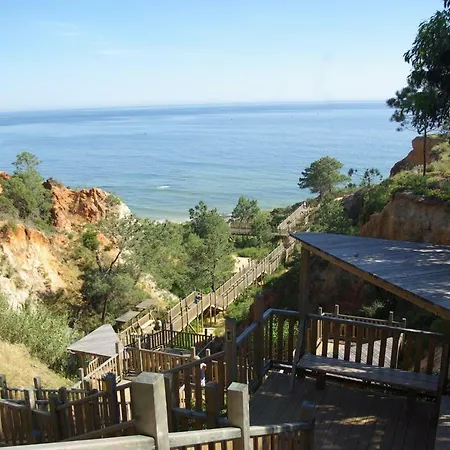 With 2 Bedrooms B Apartment *